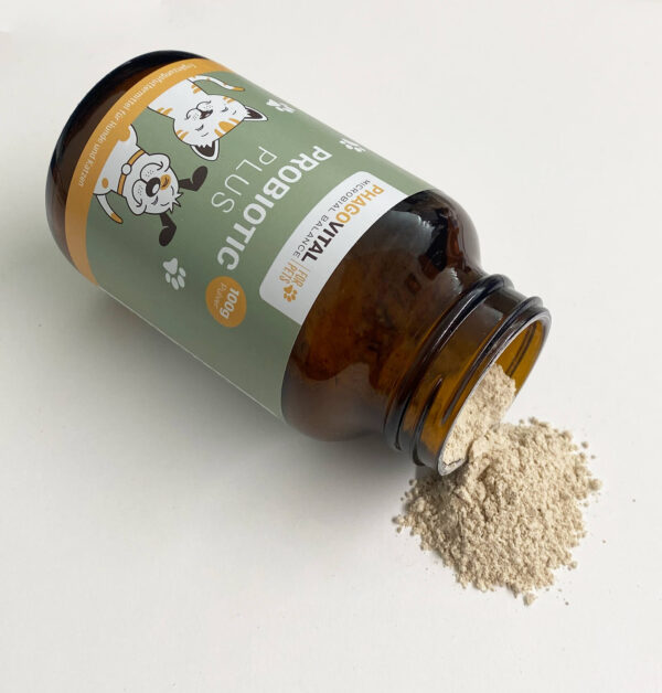 Probiotic Plus